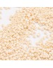 TOHO® Japan Import Glass Round Seed Beads, 11/0 Opaque, Cornsilk, 2x1.5mm, Hole: 0.5mm; about 10g.