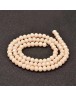 Faceted Abacus Glass Beads Strands, PeachPuff, 6x4mm, Hole: 1mm; about 99pcs/strand, 17.7"