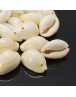 Cowrie Shell Pendants, White, 17~22x11~16x9~11mm, Hole: 1mm;