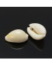 Cowrie Shell Pendants, White, 17~22x11~16x9~11mm, Hole: 1mm;