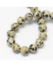 Natural Dalmatian Jasper Stone Bead Strands, Round, 8mm, Hole: 1mm; about 48pcs/strand, 14.9"